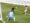 goal-12
